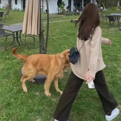 寻宝搭档第一季