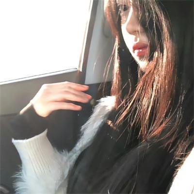 彩叶草之梦
